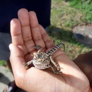 Meet your Posher, Pooja